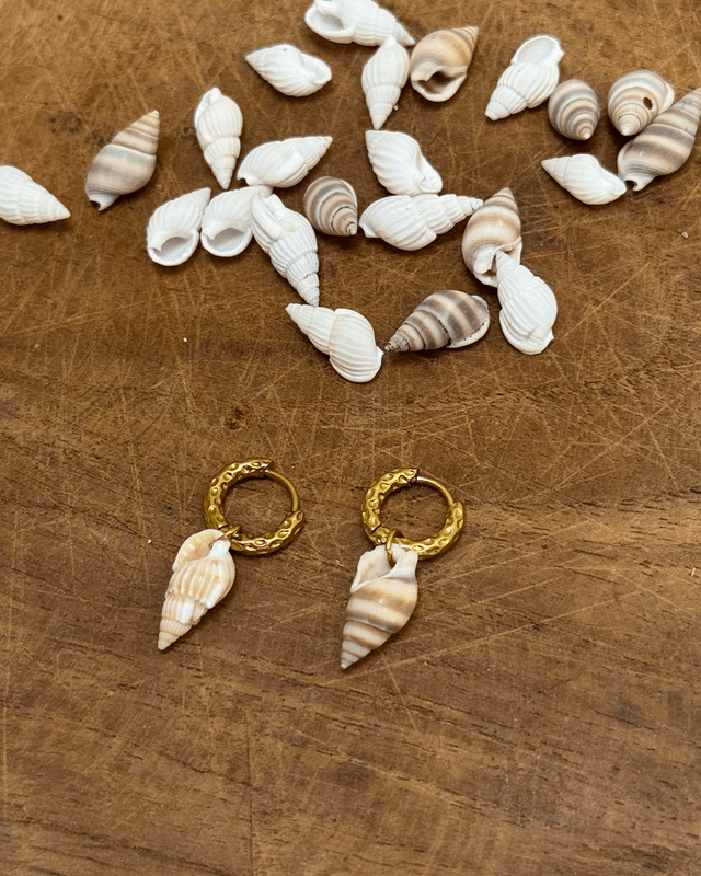 Boucles Shell beach