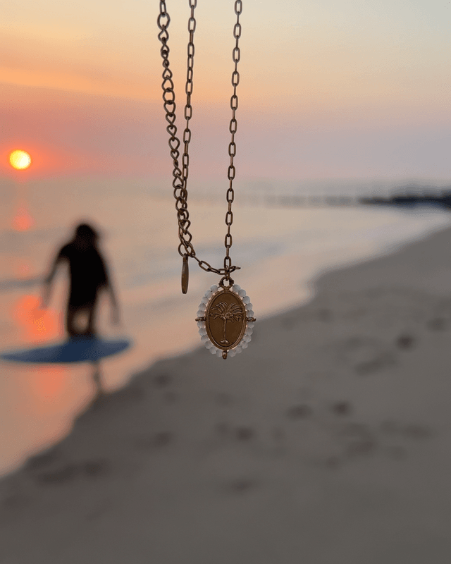 Collier palm beach