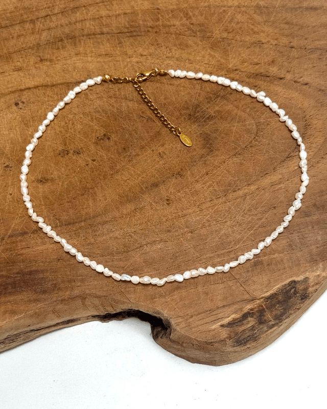 Collier Waimea 