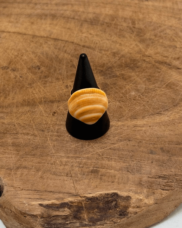 Bague Lacanau