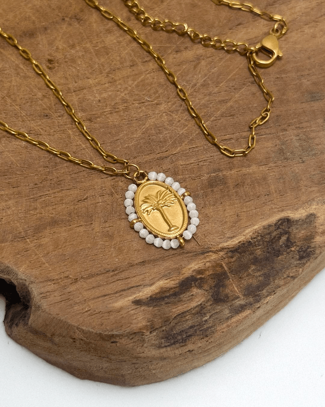 Collier palm beach