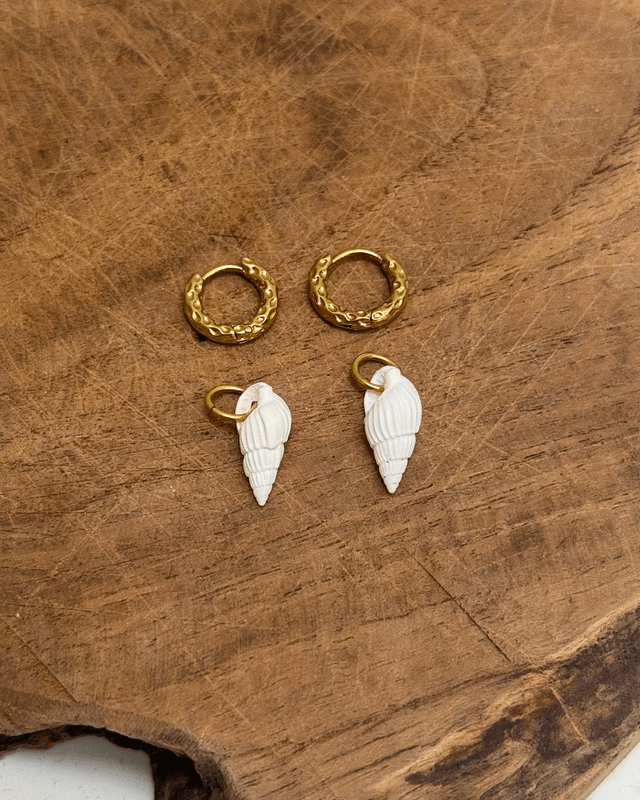 Boucles Shell beach