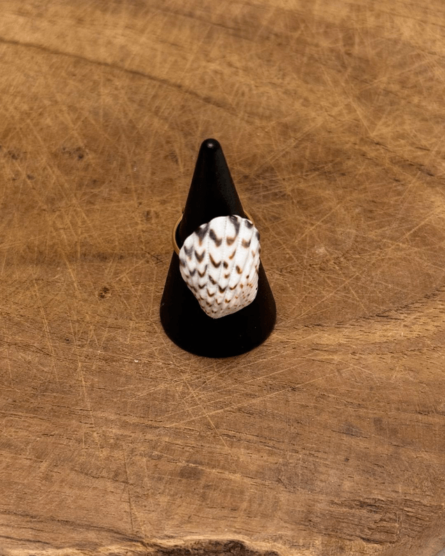Bague Lacanau