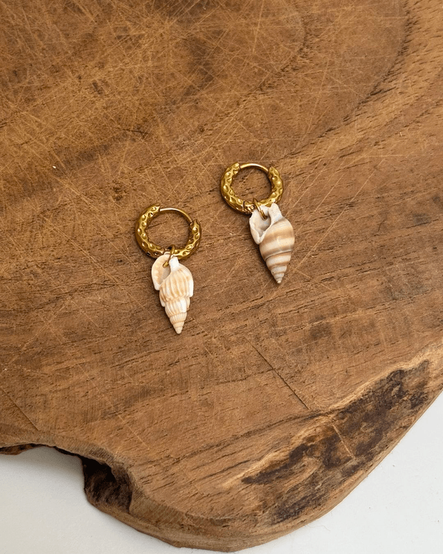 Boucles Shell beach